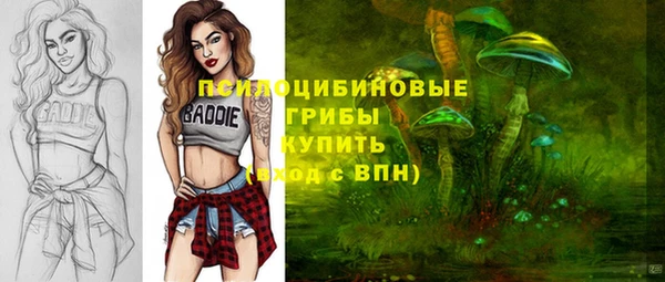 а пвп мука Баксан