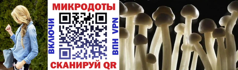 Псилоцибиновые грибы прущие грибы  omg зеркало  Белорецк 