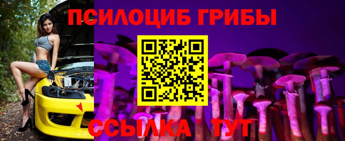 Псилоцибиновые грибы Cubensis Белорецк